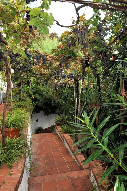 Villa Maria Antonietta Vietri Phòng bức ảnh